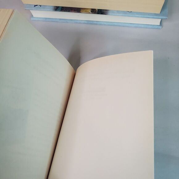 Beverly LaHaye & Terri Blackstock Season Series Mixed Lot of 4 Books PB HC - Picture 13 of 14